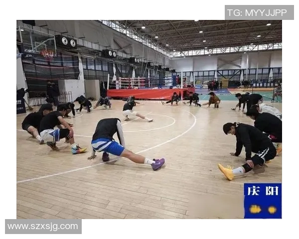 王静独家分享排球心得与技巧助你提升球技的全面指南