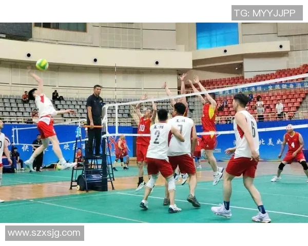 聚焦排球战术解析：成都排球队如何提升比赛竞争力与团队协作