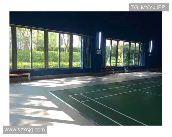 深圳羽毛球队在钻石联赛中的状态分析与表现评估 深圳羽毛球队在钻石联赛中的状态分析与表现评估