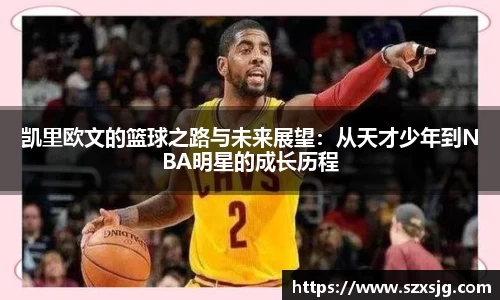 星空体育网站入口