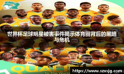 星空综合股份(中国)